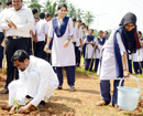 Herbal medicinal plantlets rooted at St Philomena College